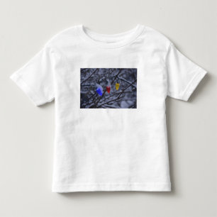 Camiseta Infantil EUA, Nova Inglaterra, Massachusetts, leitura, 2