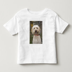 Camiseta Infantil EUA, Nova Inglaterra, Massachusetts, Reading,