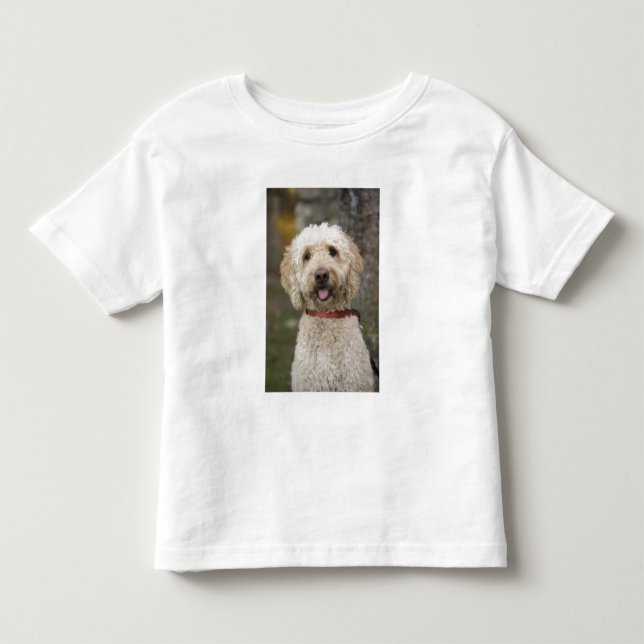 Camiseta Infantil EUA, Nova Inglaterra, Massachusetts, Reading, (Frente)