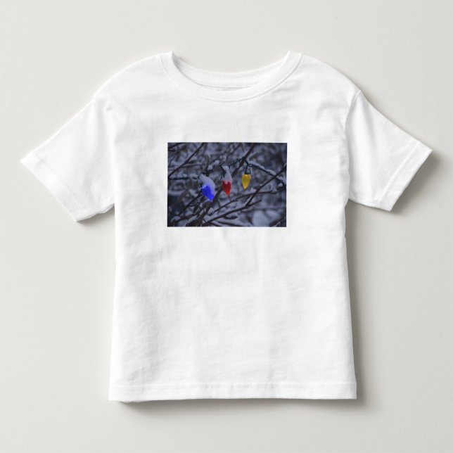 Camiseta Infantil EUA, Nova Inglaterra, Massachusetts, Reading, 2 (Frente)