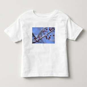 Camiseta Infantil EUA, Nova Inglaterra, Massachusetts, Reading, 3