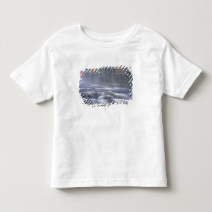 Camiseta Infantil EUA, Nova York, Adirondacks, Rio Big Moose
