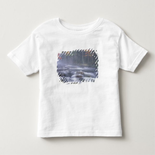 Camiseta Infantil EUA, Nova York, Adirondacks, Rio Grande Mose (Frente)