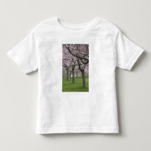 Camiseta Infantil EUA, Nova York, East Hampton. Cerejeiras em