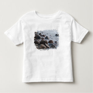 Camiseta Infantil EUA, Nova York, East Hampton. surf no oceano