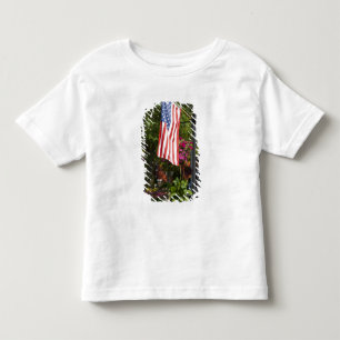 Camiseta Infantil EUA, Nova York, Lewiston. Bandeira americana anexa