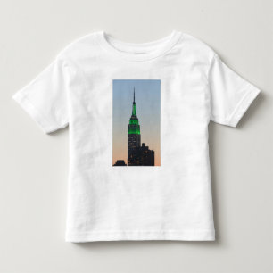 Camiseta Infantil EUA, Nova York, Nova Iorque, Manhattan:2
