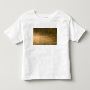 Camiseta Infantil EUA, Nova York, Parque Adirondack. Névoa do nascer