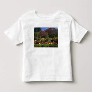 Camiseta Infantil EUA, Nova York, Saugerties, Seamon Park. Outono