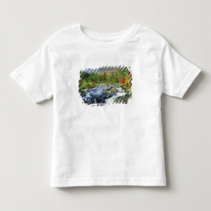 Camiseta Infantil EUA, Nova York. Uma cachoeira no Adirondack