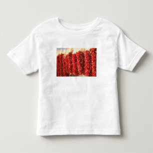 Camiseta Infantil EUA, Novo México, Santa Fé: Centro de Santa Fé, 3