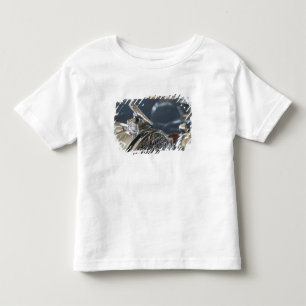Camiseta Infantil EUA, Ohio, Dayton: Museu Packard da América