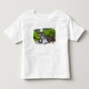 Camiseta Infantil EUA, Oregon, Columbia River Gorge, Latourell