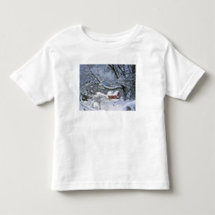 Camiseta Infantil EUA, Oregon, Condado de Clackamas. Neve fresca