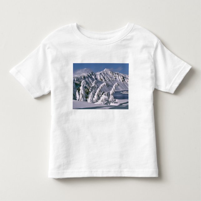Camiseta Infantil EUA, Oregon, Crater Lake NP. Árvores arcos sob (Frente)