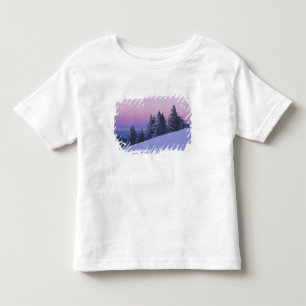 Camiseta Infantil EUA, Oregon, Deschutes National Forest, Crepúsculo