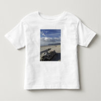 EUA, Oregon, Dunas de Areia e Oceano, Pacific City
