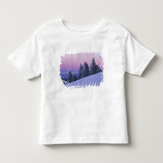 Camiseta Infantil EUA, Oregon, Floresta Nacional de Deschutes, Dusk (Frente)