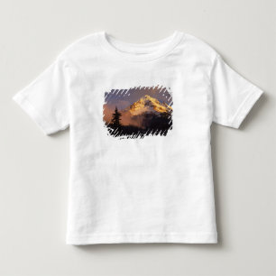 Camiseta Infantil EUA, Oregon, Floresta Nacional de Mt. Hood. Ondula