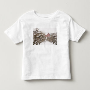 Camiseta Infantil EUA, Oregon, Hood River. Maçã coberta de neve
