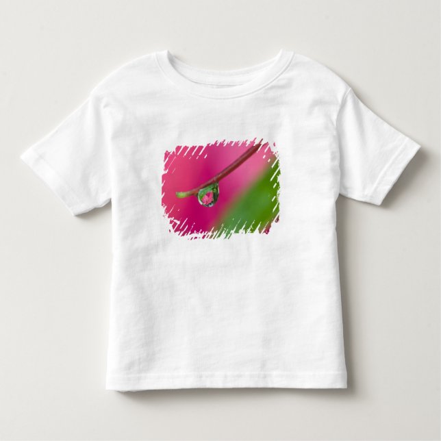 Camiseta Infantil EUA, Oregon, Jardins Shore Acres, Gotas de Água (Frente)