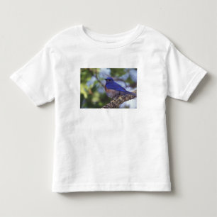 Camiseta Infantil EUA, Oregon. Macho de Azulinho-ocidental