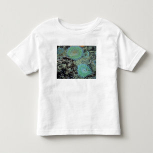 Camiseta Infantil EUA, Oregon, Neptuno SP. Mar com tons de joia