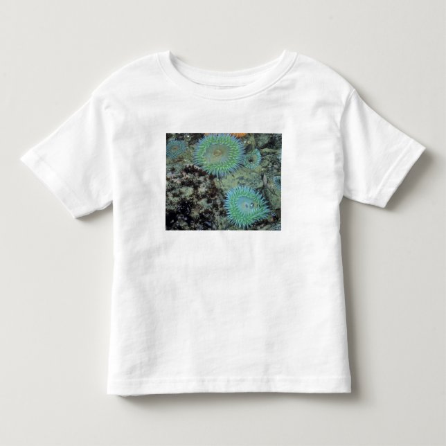 Camiseta Infantil EUA, Oregon, Neptuno SP. Mar com tons de joia (Frente)