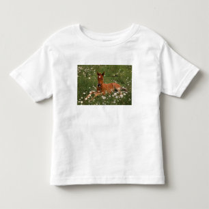 Camiseta Infantil EUA, Oregon, Pônei Árabe.