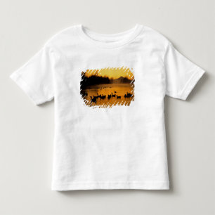 Camiseta Infantil EUA, Oregon, Portland. Aves aquáticas em Columbia