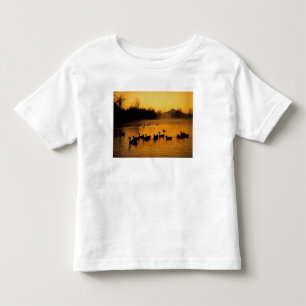 Camiseta Infantil EUA, Oregon, Portland. Aves aquáticas em Columbia