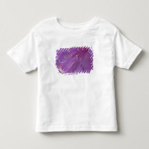 Camiseta Infantil EUA, Oregon, Portland. Close-up de uma