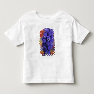 Camiseta Infantil EUA, Oregon, Portland. Close-up de uva azul