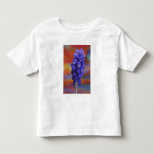 Camiseta Infantil EUA, Oregon, Portland. Close-up de uva azul