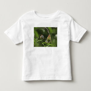 Camiseta Infantil EUA, Oregon, Portland. Erva de cedro