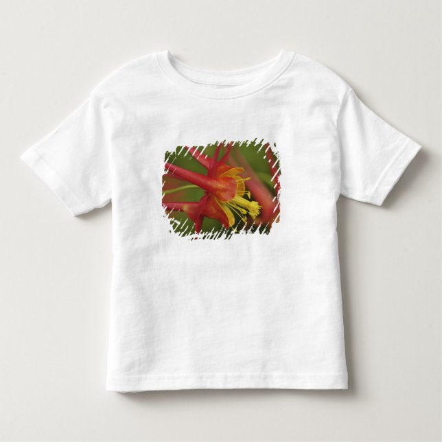 Camiseta Infantil EUA, Oregon, Portland. Fecho da columbina (Frente)