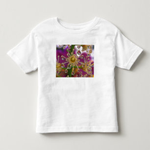 Camiseta Infantil EUA, Oregon, Portland. Flores de Cosmos refletem e