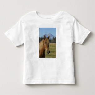 Camiseta Infantil EUA, Oregon, Sisters, vista de Three Sisters,