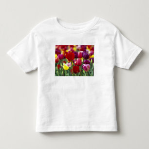 Camiseta Infantil EUA, Oregon, Vale de Willamette. Linda