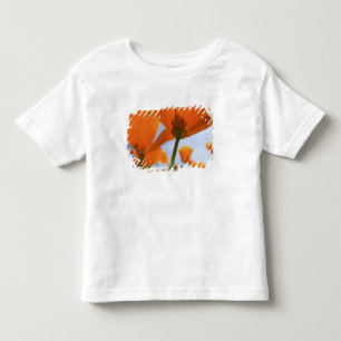Camiseta Infantil EUA, Oregon, Vale do Willamette, Close UP de 2