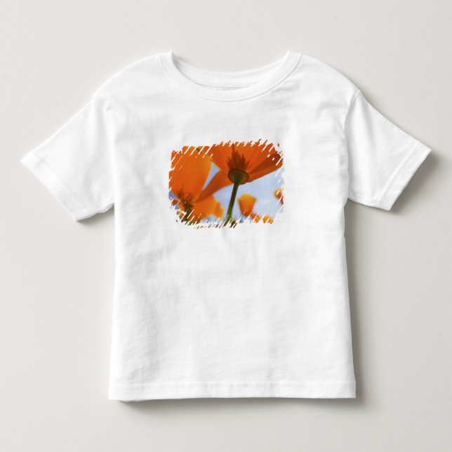 Camiseta Infantil EUA, Oregon, Vale do Willamette, Close UP de 2 (Frente)
