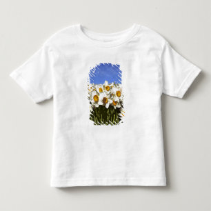 Camiseta Infantil EUA, Oregon, Vale do Willamette. Os narcisos cresc