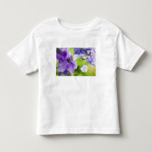 Camiseta Infantil EUA, Oregon, Vale Willamette, Larkspur Close 2