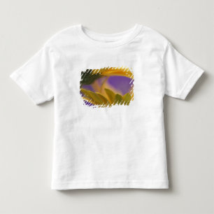 Camiseta Infantil EUA, Pensilvânia. Gerbera Daisies amarelas, close