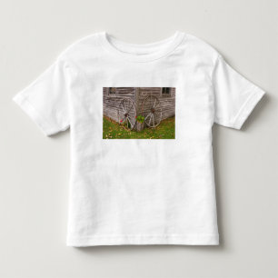 Camiseta Infantil EUA, principais. Rodas de vagão