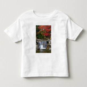Camiseta Infantil EUA, Redmond, Washington. Cores de outono num parq