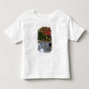 Camiseta Infantil EUA, Redmond, Washington. Cores de outono num parq