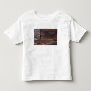 Camiseta Infantil EUA, Salmão, Idaho, Cabana de Troncos