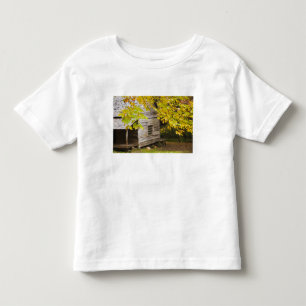 Camiseta Infantil EUA, Tennessee, Gatlinburg. Grandes Smoky
