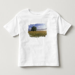 Camiseta Infantil EUA, Tennessee. Grandes Montanhas Smokey